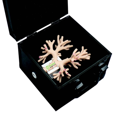 anesthesia bronchoscopy simulator