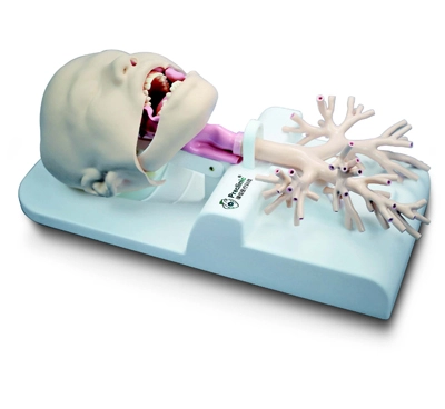 bronchial tree model