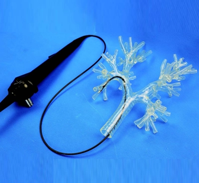 bronchoscopy anatomy simulator