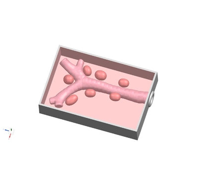 bronchoscopy simulator