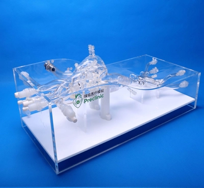 cardiac simulator