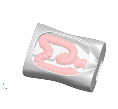 colonoscopy simulator