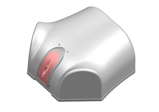drawing of uterus anatomy model