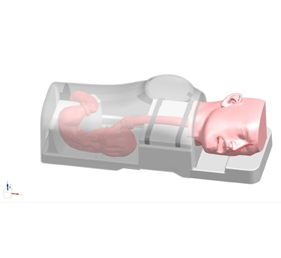 gastrointestinal simulator