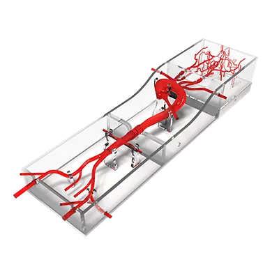 intracranial vascular models
