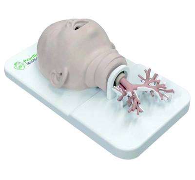 pediatric bronchoscope simulation model