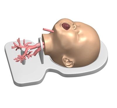 pediatric bronchoscope training model