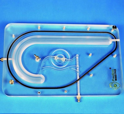 planar left coronary vessel model