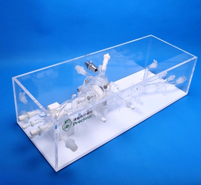 tavr simulation model