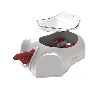 urinary tract model