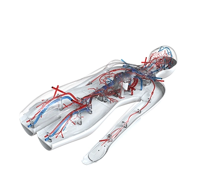 vascular simulator