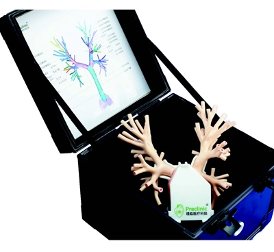 endobronchial ultrasound ebus training model preclinic