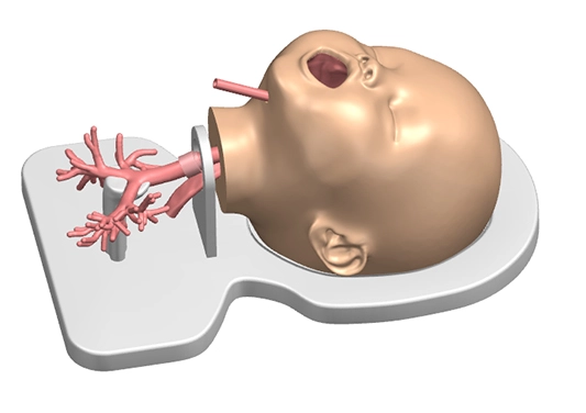 drawing of pediatric bronchoscope training model