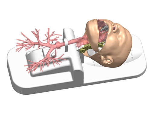 drawing of respiratory endoscope training model
