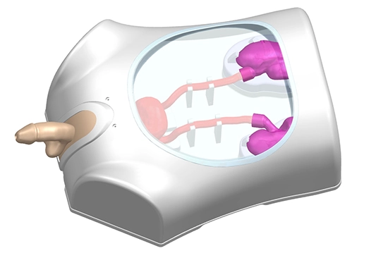 drawing of urological endoscope training model