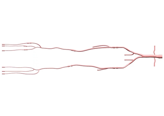 drawing of lower extremity artery simulation model