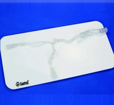anterior cerebral circulation vessel model
